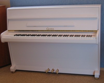 Hledám klavír, který mi splní dětský sen (piano, pianino)