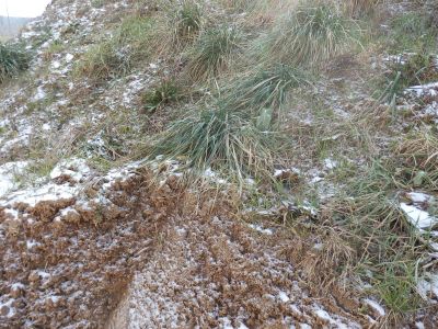 Ornice, hlína na zahradu