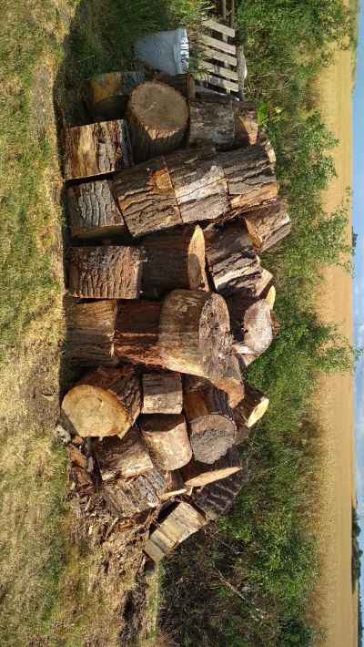 Dřevo na topení