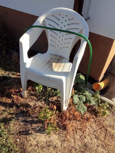 Zahradní židle plastové - 4 ks