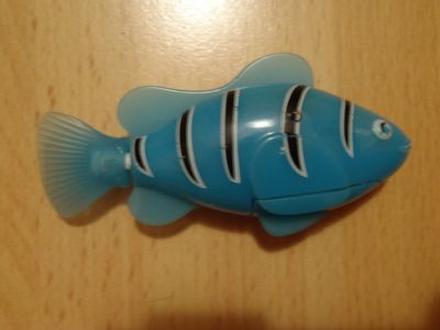 Modrá robo-ryba