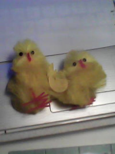2 kuřátka