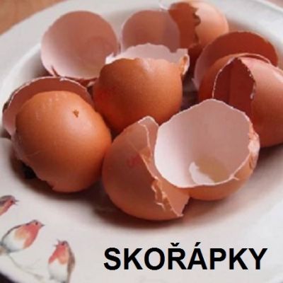 Skořápky, obaly na vajíčka