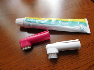 Zubní pasta a kartáčky