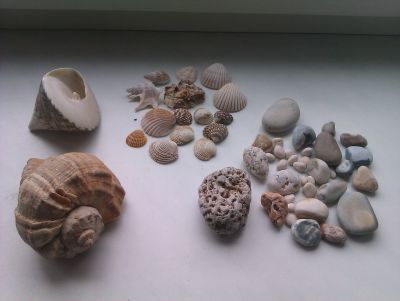 Mušle a kamínky od moře