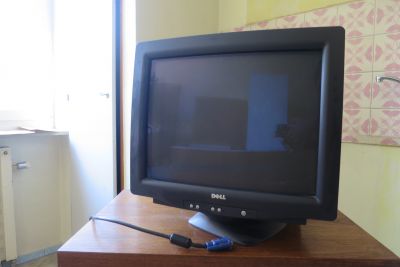 CRT monitor Dell