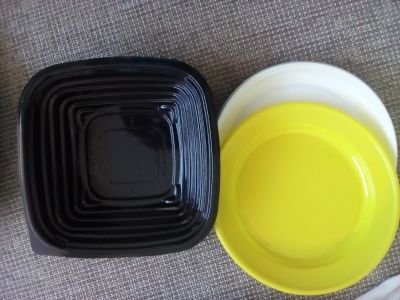 Jednorázové plastové talíře a miska