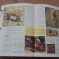 Encyklopedie Zvířat