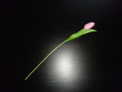 umělý tulipán