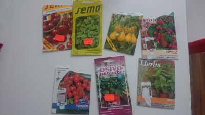 Semínka rajčata a bylinky