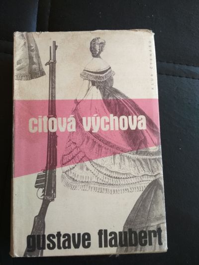 Gustave Flaubert: Citová výchova