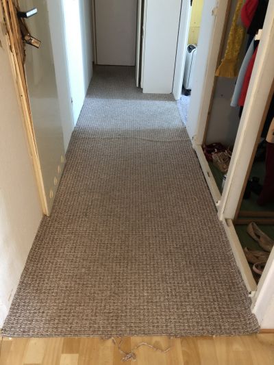 Daruji koberec z chodby