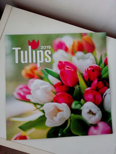 Kalendář "Tulipány"