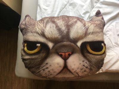 Polštář Grumpy Cat