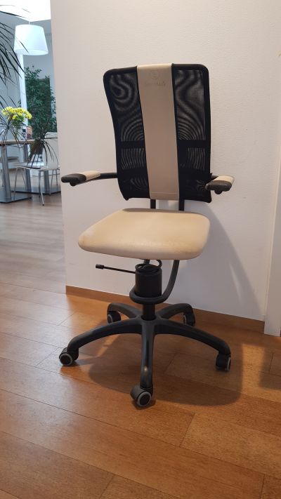 kancelářská zdravotní židle SpinaliS Hacker