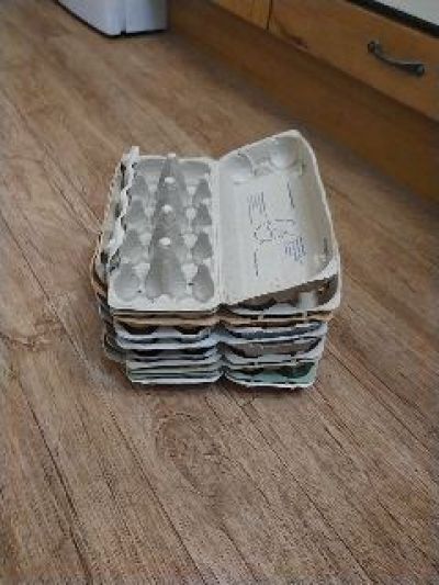 Kartony na vajíčka