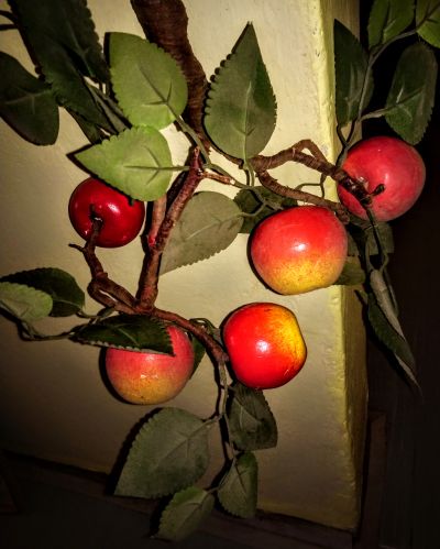 JABLOŃ  větvička s jablky