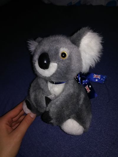 Malý plyšový koala