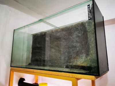 Akvarium se zadni ozdobnou stenou