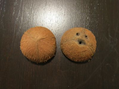 kokosáky
