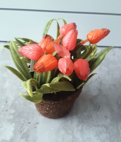 Malá kytka tulipány