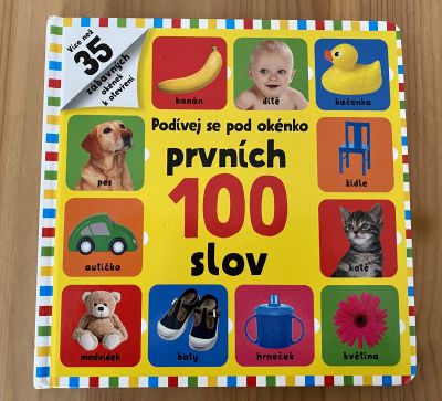 Knížka pro děti - Prvních 100 slov
