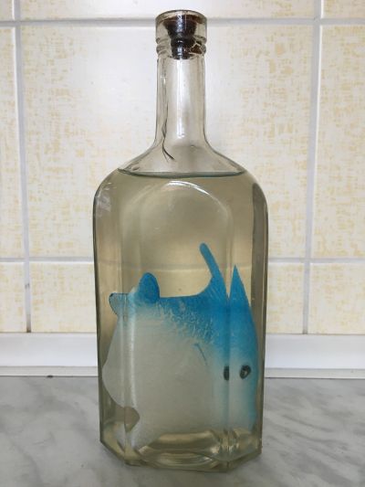 Ryba v láhvi - dekorace