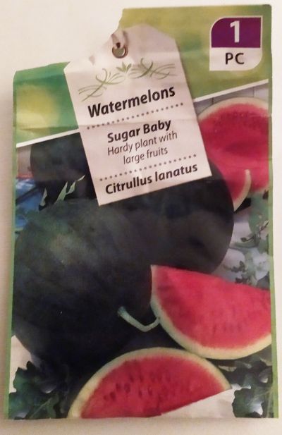 Meloun vodní semena