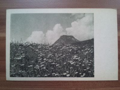 Pohlednice Kvetoucí louka, kopretiny, v pozadí hora a mrak