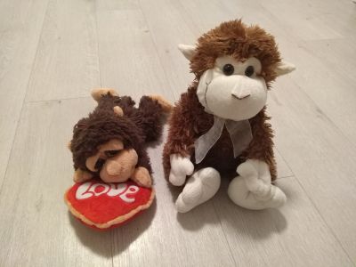 Dva opičí sirotci