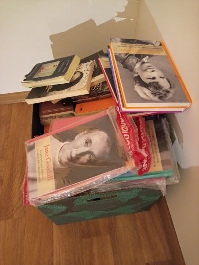 Krabice plná italských knih