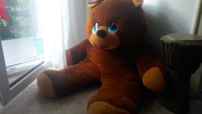 Velikánský medvěd