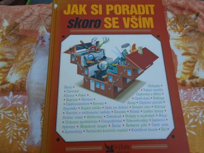 Jak si poradit skoro se vsim