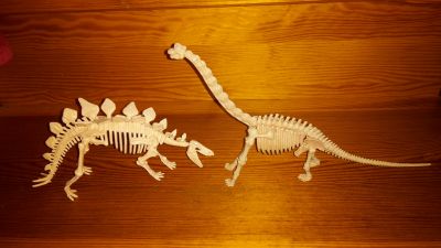 Kostry dinosaurů