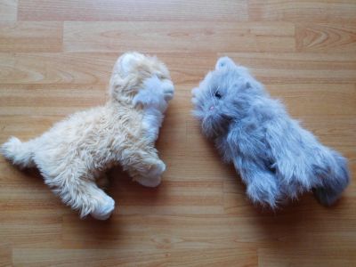 Dvě plyšové kočky