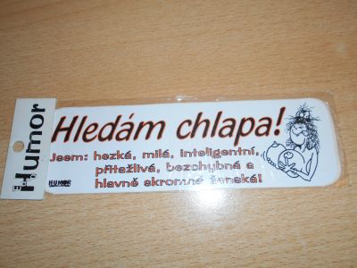 Humor - Hledám chlapa