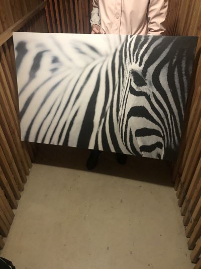 Obraz Ikea - zebra PJÄTTERYD
