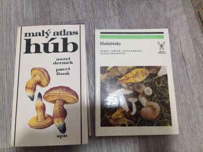 Houby a atlas