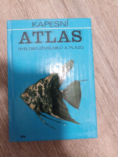 Kapesni atlas ryb plazu obojzivelniku