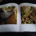 fotokniha - Lesní kulináry