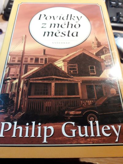 Povídky z mého města kniha od: Philip Gulley