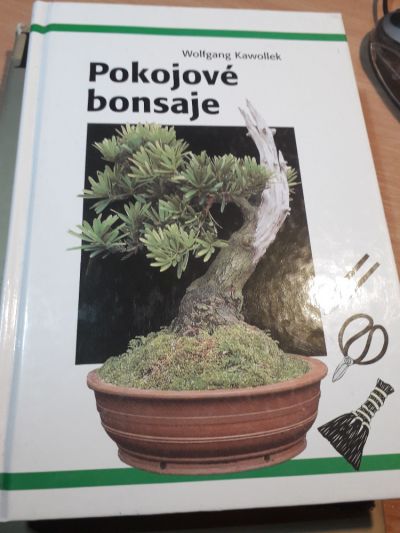 bonsaje