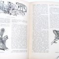Encyklopedie - Světem zvířat I. a II. díl