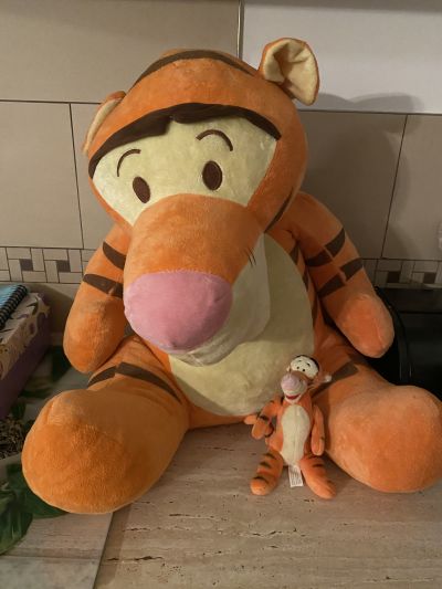 Velký tygr a jeho malý kamarád :)