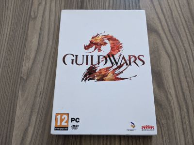 Guild Wars 2 (PC)