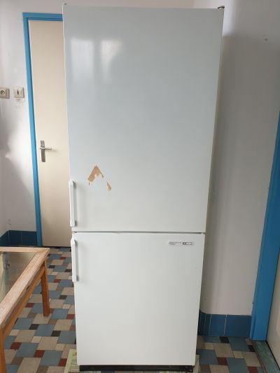 Lednice s mrazákem Gorenje HKS 301