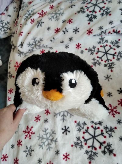 daruji polštář - plyšáka tučňáka Tůču