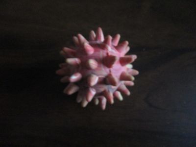 Masážní ježek růžový