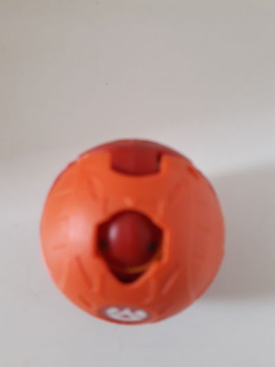 Balonek oranzovy