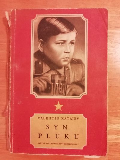 KNIHA SYN PLUKU, VYDÁNO 1954